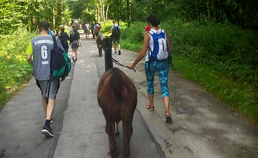 Der Abschlussausflug der BVB Klasse führte nach Agatharied, um mit Lamas an der Schlierach entlang zu wandern.